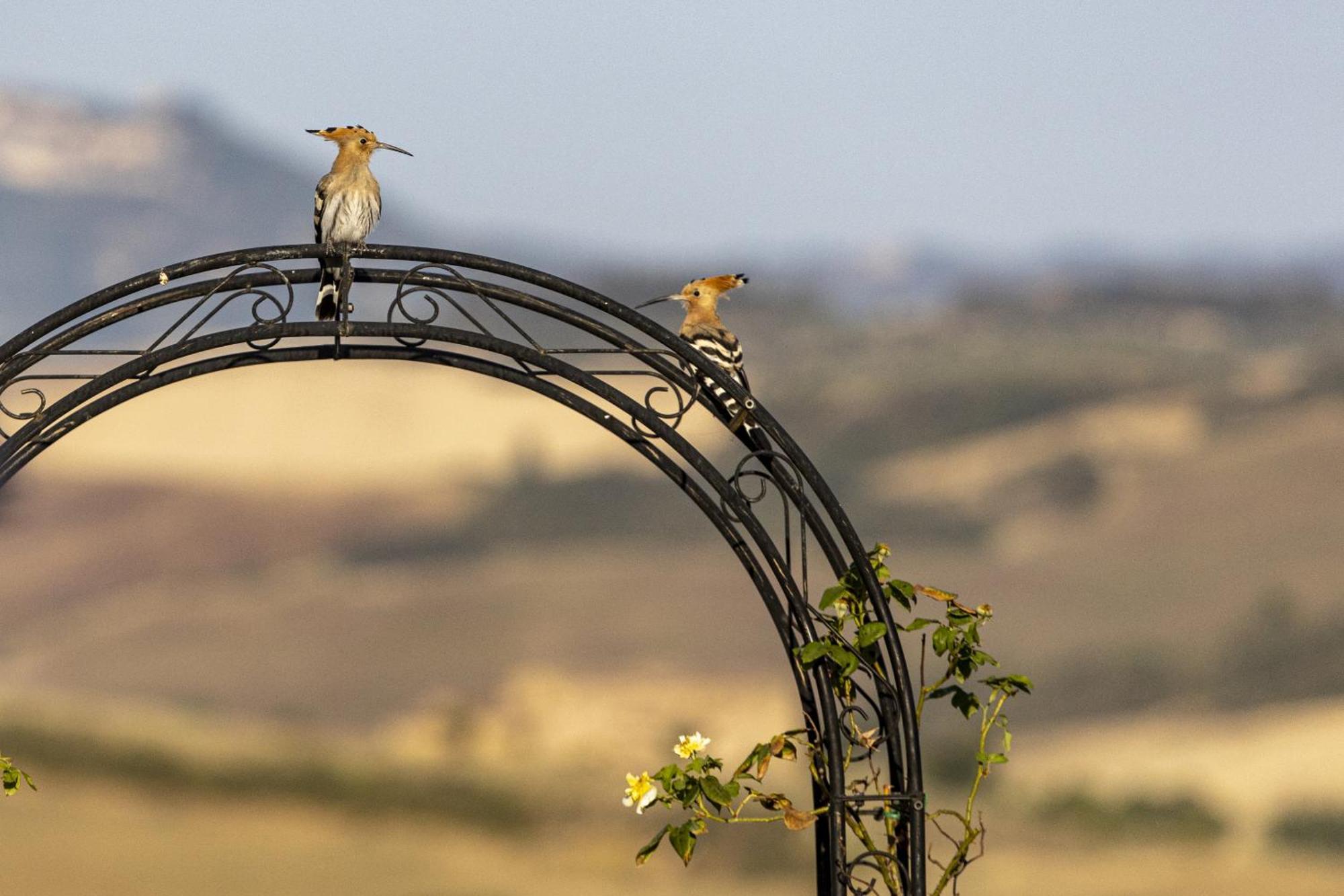 Vento D'Orcia Villa ปีเอนซา ภายนอก รูปภาพ