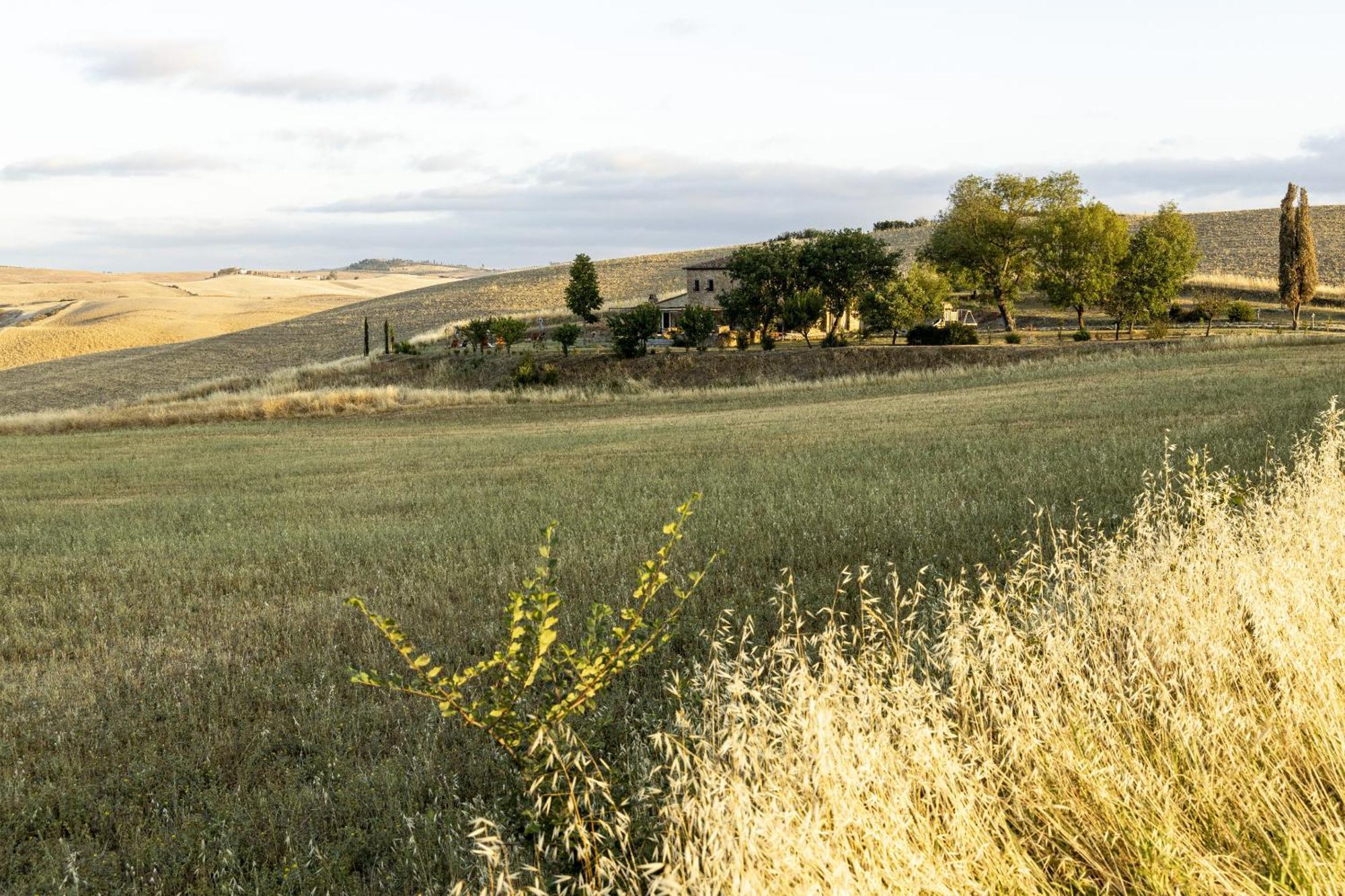 Vento D'Orcia Villa ปีเอนซา ภายนอก รูปภาพ