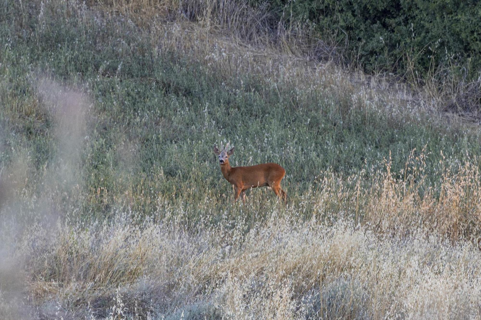 Vento D'Orcia Villa ปีเอนซา ภายนอก รูปภาพ